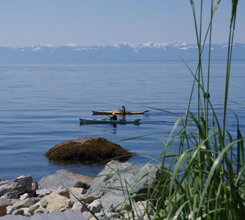 Blitz Beach House Oceanside Suite Powell River Εξωτερικό φωτογραφία