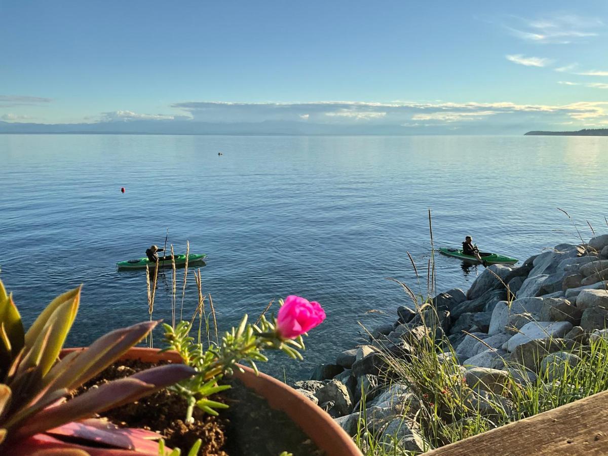 Blitz Beach House Oceanside Suite Powell River Εξωτερικό φωτογραφία