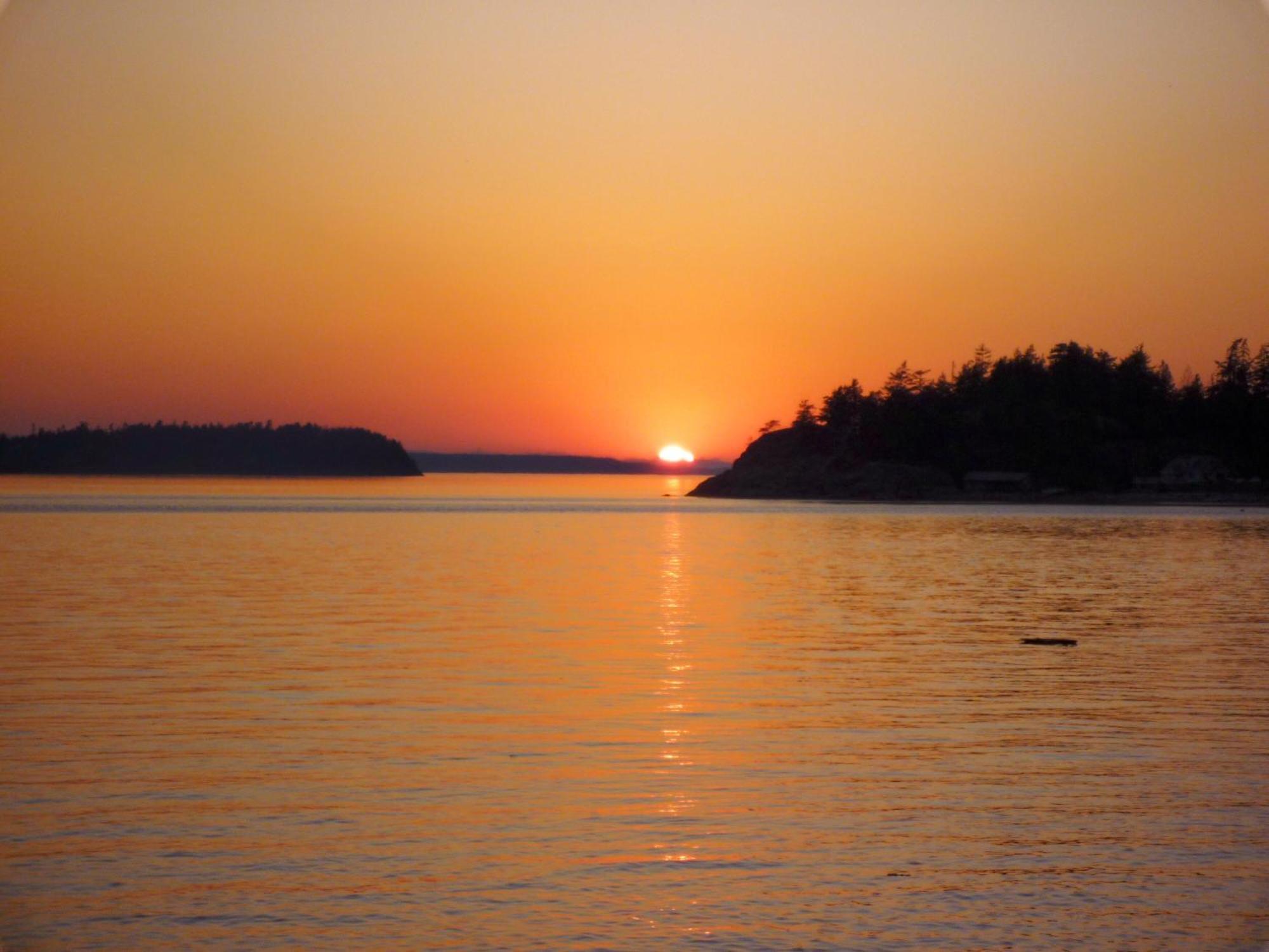 Blitz Beach House Oceanside Suite Powell River Εξωτερικό φωτογραφία