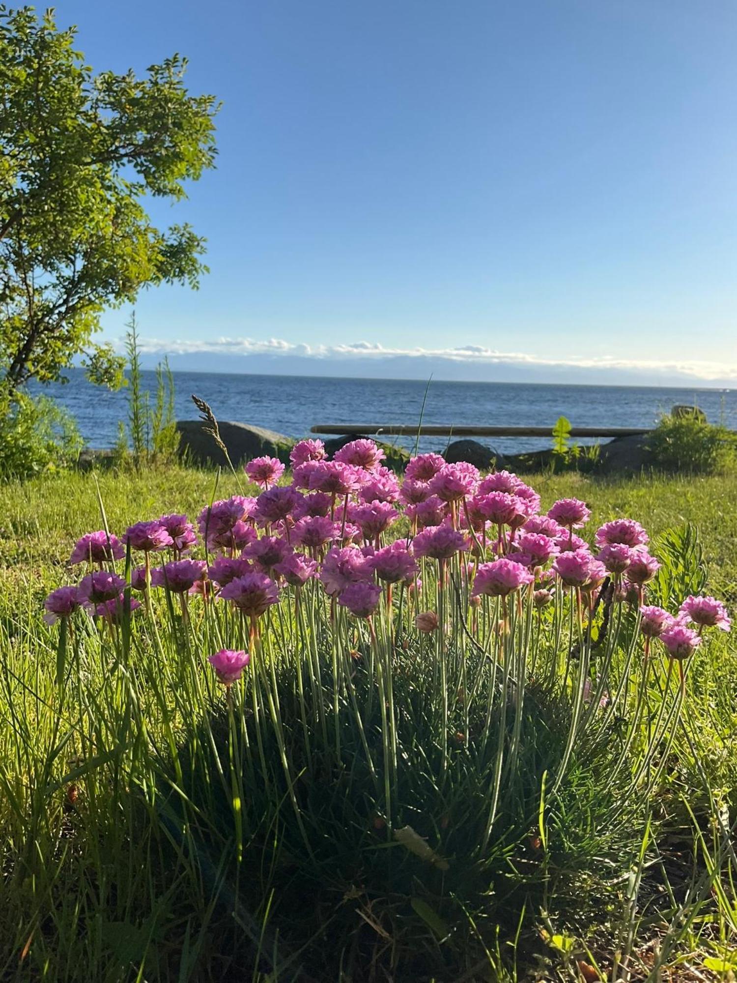 Blitz Beach House Oceanside Suite Powell River Εξωτερικό φωτογραφία