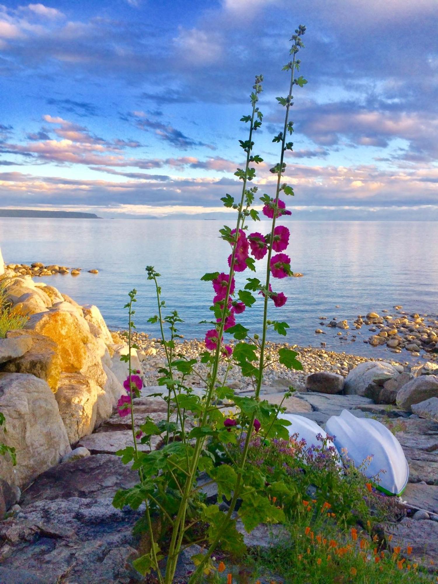 Blitz Beach House Oceanside Suite Powell River Εξωτερικό φωτογραφία